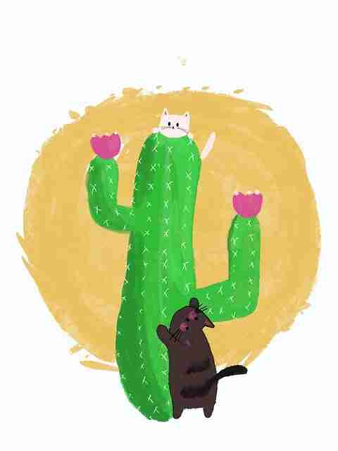 高能警告：麻豆app行业对比彩蛋合集