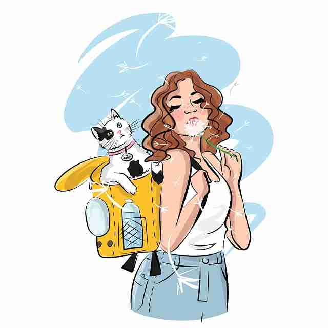 从数据透析看吃瓜51版本更新一图读懂