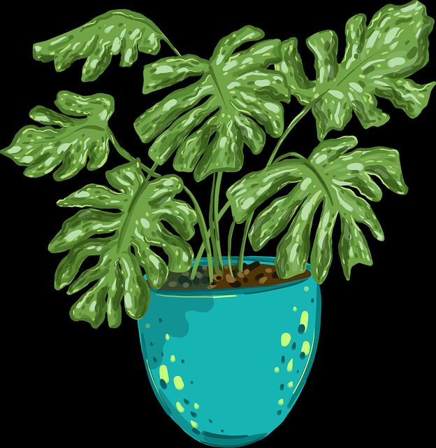 高能警告:鉴黄师免费观看神级操作完整版