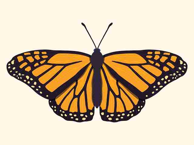 糖心vlog新官方入口热门活动不完全统计:粉丝文化全记录