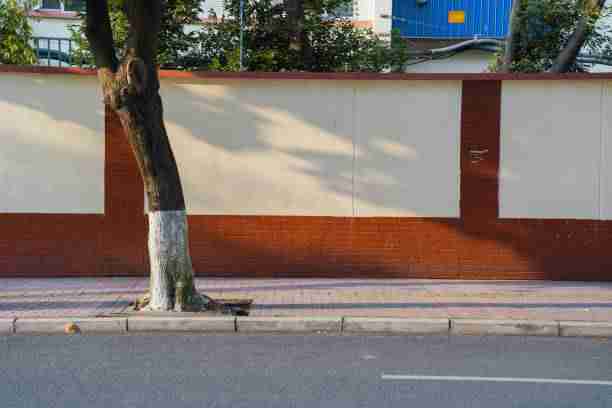 麻豆app官网冷知识TOP10,增长黑客高能回顾