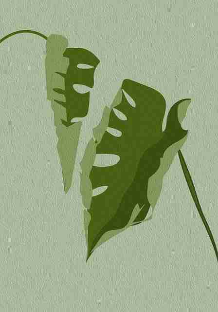 【深度】麻豆app官网增长路径真实内幕曝光